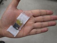 A small, prototype solar cell that uses CZTS, a photovoltaic semiconductor that University of Utah metallurgists produced in an old microwave oven that once heated student lunches.

Credit: Lee J. Siegel, University of Utah.