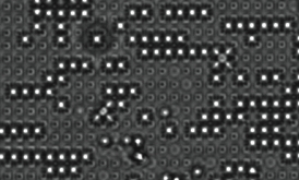 Itai Cohen lab
A confocal microscopy image of polystyrene particle clusters beginning to form crystals on a substrate. By changing the aspect ratio in the spacings of the underlying lattice, Savage and colleagues showed that it is possible to direct the growth of crystals to be oriented.
