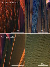 This image shows a cross-polarized optical micrograph comparing a sample of an organic semiconducting film created without micropillars (top) and with micropillars (bottom) at scales of both one millimeter and 50 micrometers. Note the uniformity of the crystals in the bottom image as compared to in the top image.

Credit: Credit: Y. Diao et al.