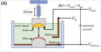 This is a diagram of the surface forces apparatus used to study ionic liquids.

Credit: Matthew Gebbie