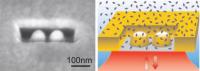 This is a dimer antenna inside a nanobox for single biomolecule analysis at high concentrations.

Credit: ICFO