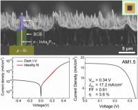 This is an electrical characterization of the heterojunction solar cells composed of n- InAs0.7P0.3 nanowire array on p-Si (111) substrate.

Credit: UNIST