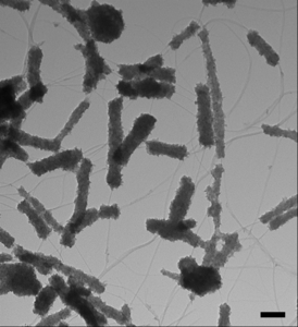 A transmission electron microscopy image of the hybrid material revealing the formation of titanium dioxide on a stick.