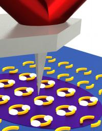 Infrared laser light (purple) from below a sample (blue) excites ring-shaped nanoscale plasmonic resonator structures (gold). Hot spots (white) form in the rings' gaps. In these hot spots, infrared absorption is enhanced, allowing for more sensitive chemical recognition. A scanning AFM tip detects the expansion of the underlying material in response to absorption of infrared light.

Credit: NIST