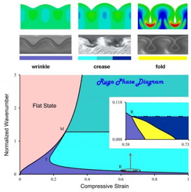  Three ruga states and how they form	A phase diagram shows the amount of compressive strain needed to create wrinkles, creases and folds in rubbery materials. The purple area denotes the wrinkle state and the aqua areas are two crease states. The spot marked R denotes folding.	Credit: Kim lab/Brown University	