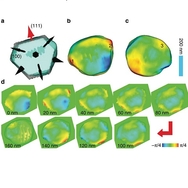 (a) Isosurface (30%) of the reconstructed amplitude superimposed with a model of the possible {111} and {100} crystal planes. The normal directions of two sets of crystalline planes {111} and {100} are marked by two kinds of arrows (fat and narrow), and the one (111) used for the measurement is marked in red. (b,c) are the top and bottom view of phase shift distribution pasted on the 30% isosurface plot. Three strain distinguished locations numerically labelled are chosen for quantitative measurement as a function of pressure. (d) 3D phase distribution at different slicing depths spaced apart by 20 nm steps from top to bottom of the crystal. The colour scale is used to show the relative phase shift and normalized to range [−π/4, π/4]. - See more at: http://www.anl.gov/articles/high-pressure-nanoimaging-breakthrough#sthash.CTdV9rxD.dpuf