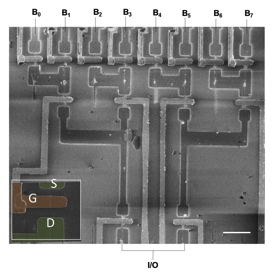 SEM image of a logic circuit based on 14 nanowires