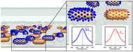 Ill.: Institute of Physical Chemistry
When proteins dock with the specifically functionalized nano-particles, the sensor elements change color. 