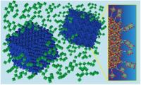 Nanocrystals of indium tin oxide (shown here in blue) embedded in a glassy matrix of niobium oxide (green) form a composite material that can switch between NIR-transmitting and NIR-blocking states with a small jolt of electricity. A synergistic interaction in the region where glassy matrix meets nanocrystal increases the potency of the electrochromic effect.

Credit: Berkeley Lab