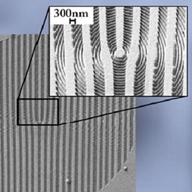 A new three-in-one optical element can control lights amplitude, phase, and polarization through a wedding of old-fashioned holograms and state-of-the-art nanoscale features.Image courtesy of Federico Capasso.