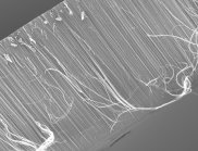 Cross-sectional image of the carbon nanotubes.