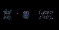 A DNA cage (at left), with lipid-like molecules (in blue). The lipids come together in a "handshake" within the cage (center image) to encapsulate small-molecule drugs (purple). The molecules are released (at right) in response to the presence of a specific nucleic acid.

Credit: Thomas Edwardson, McGill University