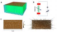 (A) This is an illustration of the RRAM array with each memory cell comprising of one filament (sandwiched between two electrodes). In comparison to the surrounding insulator matrix, a number of nano-filaments are formed within the bulk oxide. (B) This is a basic element of a RRAM cell. Control of the electrical field leads to different resistance states. (C) Localized formation of conductive filaments in a TiO2 thin film is shown. The left shows the conductivity map recorded by CAFM. The right shows the same current mapping in 3D.

Credit: Yuanmin Du/National U.Singapore