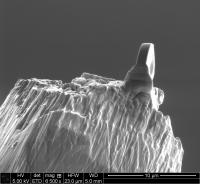 This is an electron micrograph of the micro lens on the tip of a needle. The lens has a diameter of just two microns (thousandths of a millimeter).

Credit: Image: University of Göttingen
