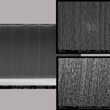 This montage includes images of carbon nanotube forests. New research explains why the CNT forests have less stiffness than expected.
Images courtesy of Justin Chow