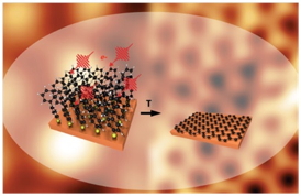 The cover picture of the scientific journal "Advanced Materials" gives a schematic representation of the conversion of the monolayer of the complex molecule biphenyl thiol in the two-dimensional graphene crystal by electron irradiation and thermal treatment.Fig.: Advanced Materials 25 (2013). Copyright Wiley-VCH Verlag GmbH & Co. KGaA. Reproduced with permission.