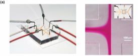 An optical micrograph of the microchannel junction with red dye flow-focused in water shows experimental conditions used for nanostructure assembly.