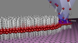 By means of lipid dip-pen nanolithography (L-DPN), lipid membranes are written directly onto the two-dimensional carbon graphene.Graphics: Hirtz/Nature Communications