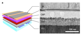 The quantum dot device structure shown with a transmission electron microscopy (TEM) image of a cross-section of a real device. 