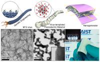 First row: Schemes of each step to explain biotemplated nanogenerator fabrication by using genetically engineered virus. Second row: Electron microscopy of each step in biotemplated synthetic processes and digital photograph of the flexible biotemplated nanogenerator. Right inset shows the driven LED optical fibers by the energy harvester.

Credit: KAIST