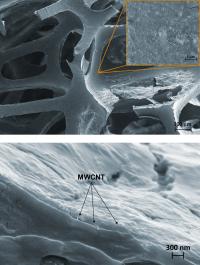 An easy-to-apply, NIST-developed coating significantly reduces the flammability of foam used in furniture. The thin coating is deposited onto the surface of all the nooks and crannies of the porous foam (top), with heat-dissipating multiwalled carbon nanotubes uniformly distributed throughout (bottom). (Color added for clarity.)

Credit: Kim/NIST