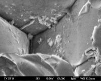 The photograph shows clearly the large grains closely packed together and separated by well-defined grain boundaries. The density of the CCTO ceramic is 94 percent of the maximum theoretical density, indicating the superior nature of the samples.

Credit: R. K. Pandey/Texas State University