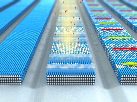 The illustration shows the process of fabricating lateral spin valves. Left: Initially, the alloys structure is highly ordered. Iron atoms (blue) and aluminium atoms (white) are arranged in continuous layers. Center: Ion bombardment (red) upsets the order leading to a random distribution of atoms. Only narrow stripes that are coated with a protective polymer resist are spared, and retain their atomic ordering. Right: Ion-irradiated regions become ferromagnetic. With the help of an externally applied magnetic field, the stripes can be arranged parallel or antiparallel, as shown here.
Image: Sander Mnster