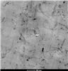 Electron transmission micrographof thenanocompositepoly(ether imide)-poly(butylene terephthalate)/carbon nanotubes with 3% of nanotubes.