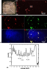 Images of a frozen-hydrated algae cell. (a) Some cell ultrastructure is shown using differential phase contrast imaging. (b) Distributions of zinc, iron, and potassium are visible in this X-ray fluorescence image.