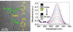 Figure 1: (Left) Transmission electron microscopy image of Ag-rGO nanohybrids. The inset shows the catalytic conversion of 4-nitrophenol to 4-aminophenol. Figure 2 (Right) Absorption spectra of 4-nitrophenol decreases in intensity and its color fades (inset) due to catalytic conversion.