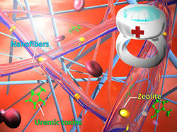 The newly-fabricated nanofiber mesh for the removal of toxins from the blood, made by WPI-MANA researchers, may be incorporated into wearable blood purification systems for kidney failure patients.