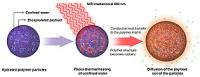 In this schematic representation, a hydrated polymeric nanoparticle is exposed to near-infrared light. The NIR heats pockets of water inside the nanoparticle, causing the polymer soften and allowing encapsulated molecules to diffuse into the surrounding environment.

Credit: UC San Diego School of Medicine
