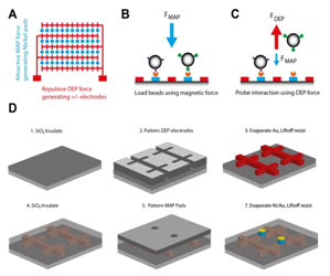 Conceptual design of MAP-nDEP tweezers. a) Schematic of chip layout: Circu-lar magnetic nickel pads (blue) were flanked by interdigitated gold electrodes (red). b) Paramagnetic beads were introduced to chip surface by microfluidics and loaded onto the magnetic pads by magnetic manipulation, facilitating the formation of bead-surface tethers via antibody-antigen interactions. c) Interac-tions probed by application of sufficient nDEP force to displace non-specifically bound beads, but not specifi cally bound beads. d) Microfabrication process.