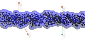 The left ion in the diagram is deflected by a collision with an atom in the membrane, which is only one nanometer thick and loses considerably more energy than previously believed (red arrow); the right ion passes virtually unhindered through the membrane (green arrow).
Source: HZDR