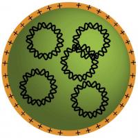 Biodegradable plastic molecules (orange) self-assemble with DNA molecules (intertwined, black circles) to form tiny nanoparticles that can carry genes to cancer cells.

Credit: Stephany Tzeng