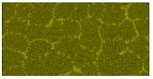 Snapshot of the final configuration of a nc-Si sample Melis et al.