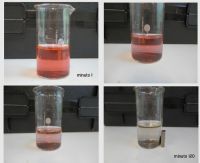 Dissolution process of organic particles through nanoparticles

Nafarroako Unibertsitate Publikoa