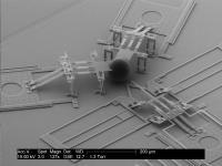 This SEM (scanning electron microscope) image shows the nanoinjector next to a latex bead the same size as an egg cell. You can see the size of the nanoinjector and its lance compared to a cell.

Credit: Brian Jensen/BYU