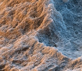  Nanoporous insulation material

Slentite is BASFs first high-performance insulation panel based on polyurethane, which needs only half the space compared to traditional materials while offering the same insulation performance. Up to 90% of the volume of the organic aerogel consists of air-filled pores which have a diameter of only 50 to 100 nanometers. As a result, the air molecules freedom of movement is limited and the transfer of heat is reduced. The high-performance insulation material can be used, for example, in the construction sector for old and new buildings. Magnification 8000:1 (15 cm in width).