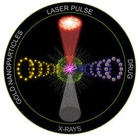 The first preclinical study of the anti-cancer technology "quadrapeutics" found it to be 17 times more efficient than conventional chemoradiation therapy against aggressive, drug-resistant head and neck tumors.
CREDIT: D. Lapotko/Rice University