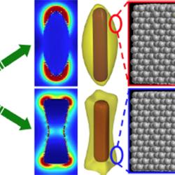 A surface catalyst with a built-in sensor: that's what chemist Hui Wang and co-workers built by bridging a size gap on the nano-scale. Their silver nanoparticles combine plasmon resonance with catalytic activity, making SERS and other analytical data available in real time on a surface catalyst. 