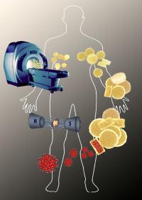 Submicrometer particles that contain even smaller particles of iron oxide could make magnetic resonance imaging a far more powerful tool to detect and fight disease, according to researchers at Rice University.

Credit: Ayrat Gizzatov/Rice University