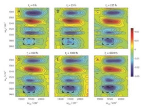 2D-EV spectral data tells researchers how photoexcitation of a molecular system affects the coupling of electronic and nuclear vibrations that is essential to understanding how the system functions.