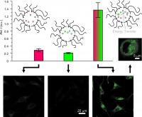 The sequential transport of donors and acceptors across cell membranes with independent and dynamic nanocarriers enables energy transfer exclusively in the intracellular space with concomitant fluorescence activation.

Credit: Francisco Raymo, professor of Chemistry and director of the laboratory for molecular photonics, at the University of Miami College of Arts and Sciences