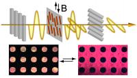 Top: Scheme showing magnetic control over light transmittance in the novel liquid crystals. B is the alternating magnetic field. The polarized light is seen in yellow. The gray rods represent the polarizers. The magnetic field controls the orientation of the nanorods (seen in orange), which in turn affects the polarization of the light and, then, the amount of light that can pass through the polarizers. Bottom: Images show how a polarization-modulated pattern changes darkness/brightness by rotating the direction of the cross polarizers. The circles and background contain magnetic nanorods aligned at different orientations. Research by the Yin Lab at UC Riverside shows that by combining magnetic alignment and lithography processes, it is possible to create patterns of different polarizations in a thin composite film and control over the transmittance of light in particular areas.

Credit: Yin Lab, UC Riverside.