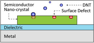 The plasmon laser sensor consists of a thin slab of semiconductor separated from the metal surface by a dielectric gap layer. Surface defects on the semiconductor interact with molecules of the explosive DNT.  Image by Ren-Min Ma and Sadao Ota