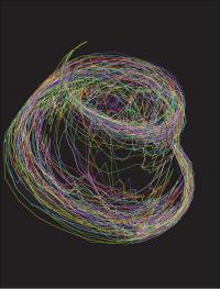 Continuous monitoring of a quantum system can direct the quantum state along a random path. This three-dimensional map shows how scientists tracked the transition between two qubit states many times to determine the optimal path.

Credit: Irfan Siddiqi, UC Berkeley