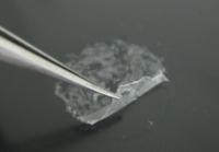 Super-thin nanosheets could help transform the treatment of burn wounds.

Credit: Yosuke Okamura