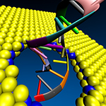 A DNA molecule passes through a nanopore in a sheet of molybdenum disulfide, a material that researchers have found to be better than graphene at reading the DNA sequence. Photo courtesy of Amir Barati Farimani