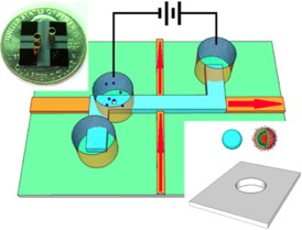 The nanopore-gated optofluidic chip is able to distinguish influenza viruses from nanobeads.